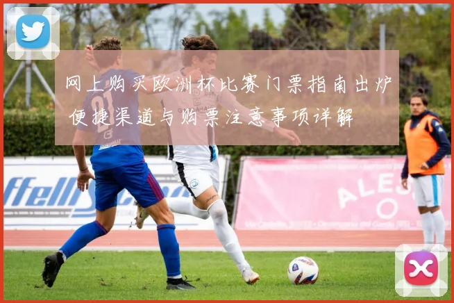 网上购买欧洲杯比赛门票指南出炉 便捷渠道与购票注意事项详解