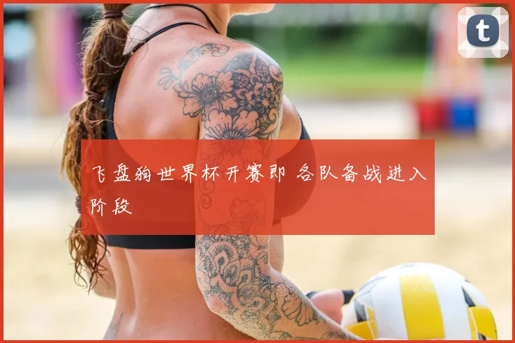 飞盘狗世界杯开赛即 各队备战进入阶段